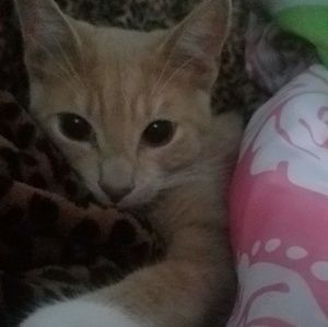 Meet your Posher, Tracy